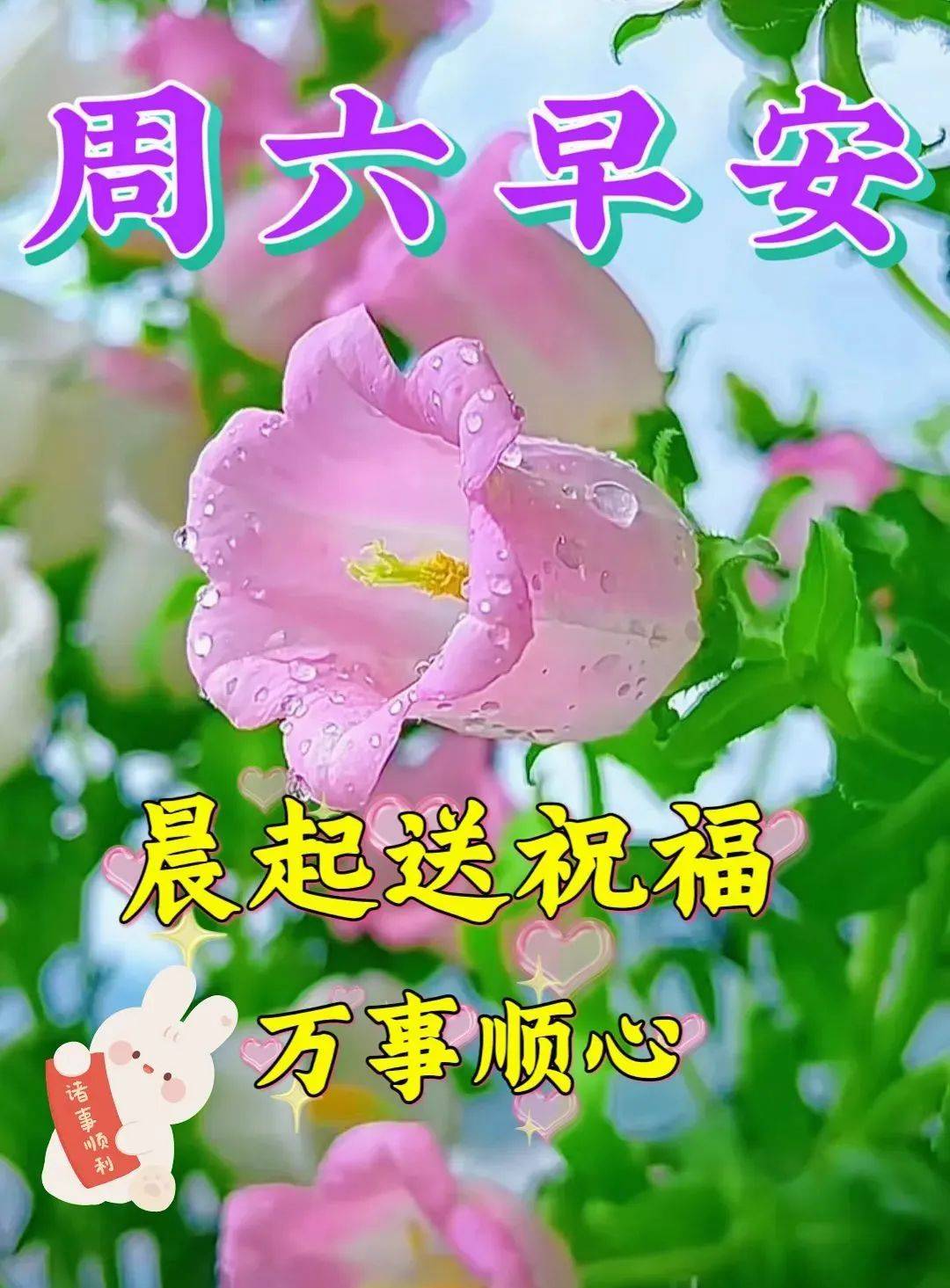 7月29日周六早上好周末早安好看祝福语图片