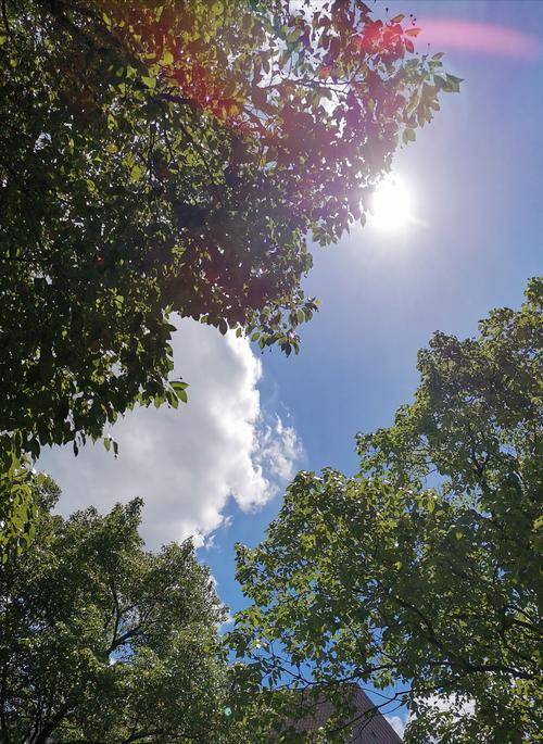 烈日炎炎,暢飲米香型白酒:清雅別緻,陪伴您度過夏日炙熱時刻_清新