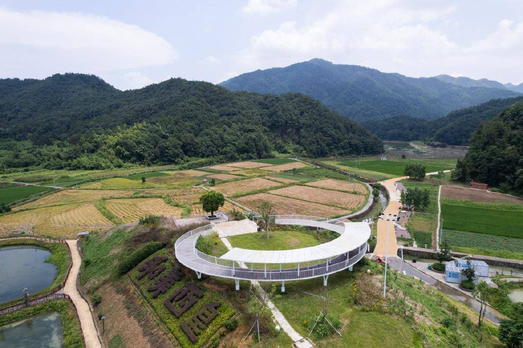 莫负盛夏好时光,诸暨五泄二日游_荷花_文化_风景区
