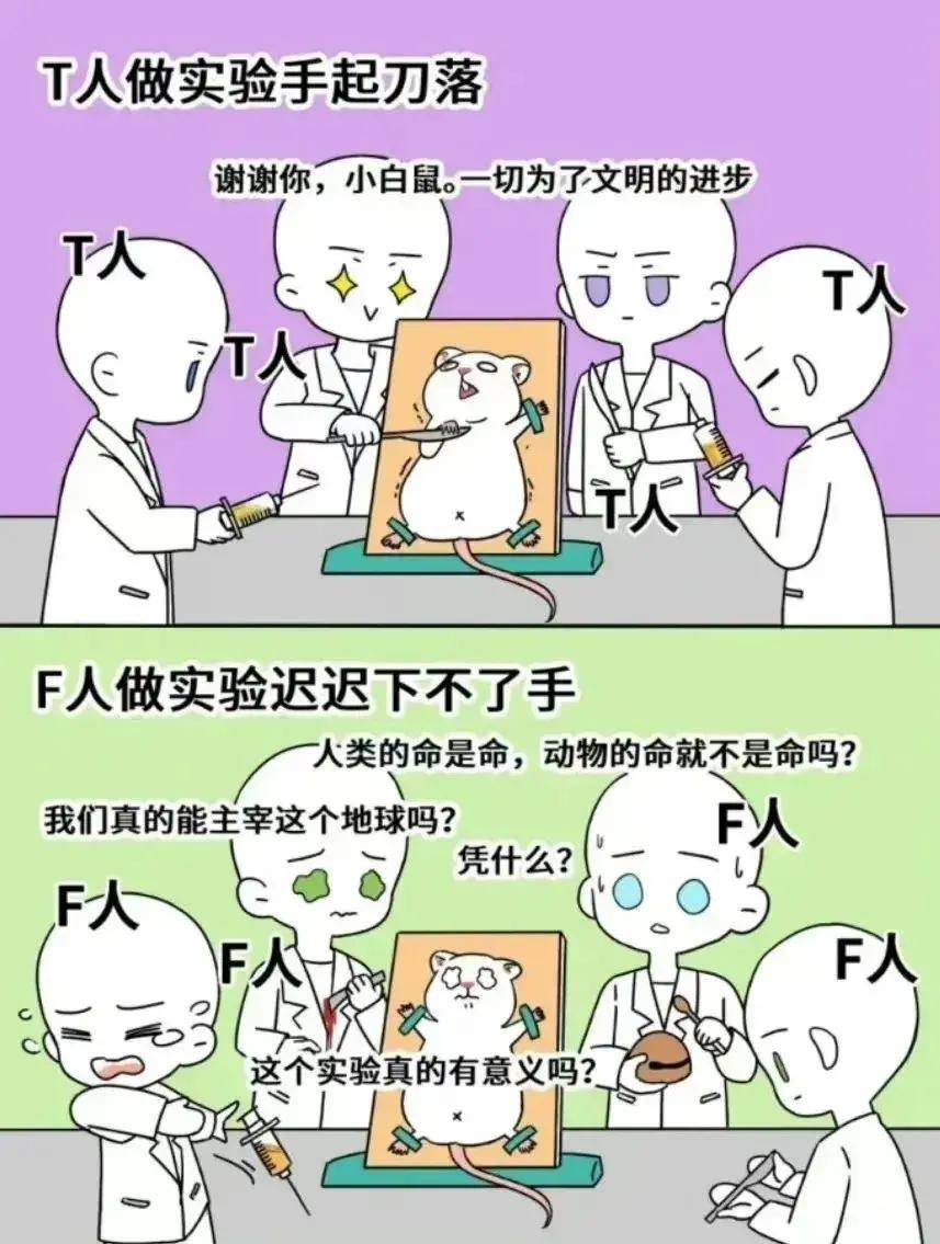 MBTI里的F人和T人能好好相处吗?_情感_分析_逻辑