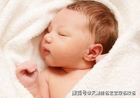 兔年新生兒取名:聰穎睿智的男孩名字精選 兔年新生兒取名:聰穎睿智的男孩名字精選