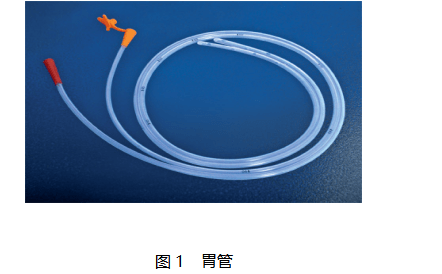 胃管产品注册技术审查指导原则_标准_危害_要求