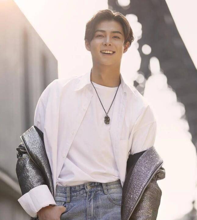 撞伤陈伟霆,截胡吴磊,"不可一世"的张铭恩也走到了今天_老九_沙海