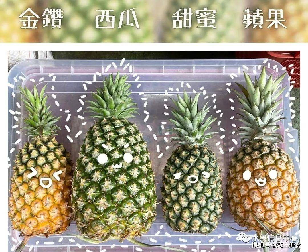 它是凤梨界的巨人,重量是金钻凤梨的3倍,甜度能达到17度_西瓜_体型