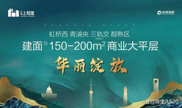 2024年青浦区人口_2024年的上海青浦,产业和人口将全面爆发!成为五大新城最大赢