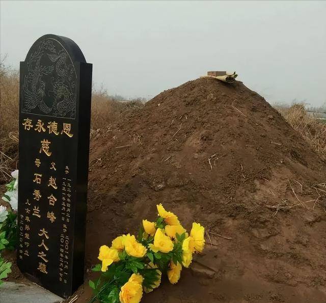 有道理吗?_家族_逝世者_坟墓