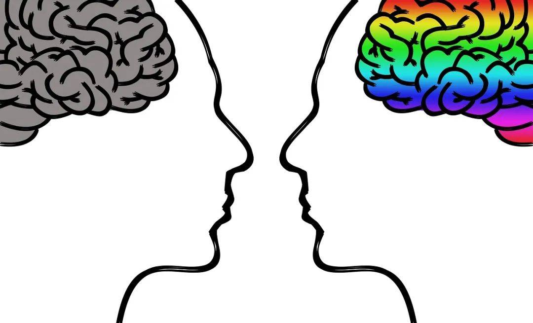 中考残酷,脑科学揭秘男孩学习方式_大脑_儿子_老公