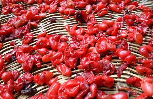 山萸肉的价格,真品山茱萸与伪品山茱萸的区别_表面_闻之气_果肉