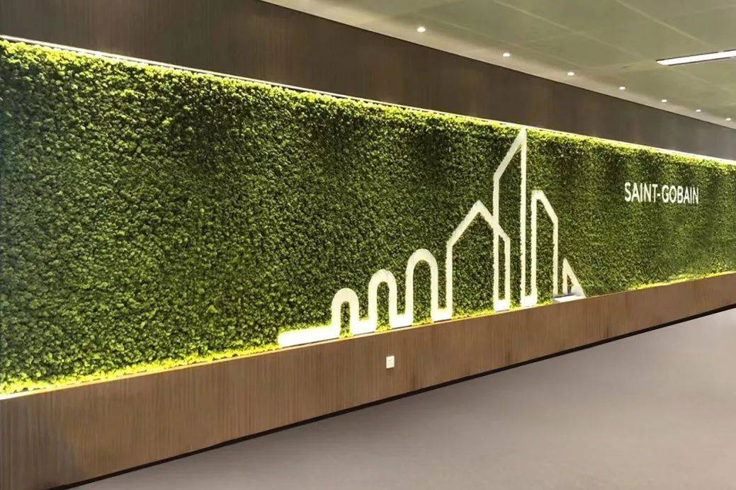 负离子永生苔藓植物墙:轻松打造绿意盎然的健康空间_办公_应用_国际
