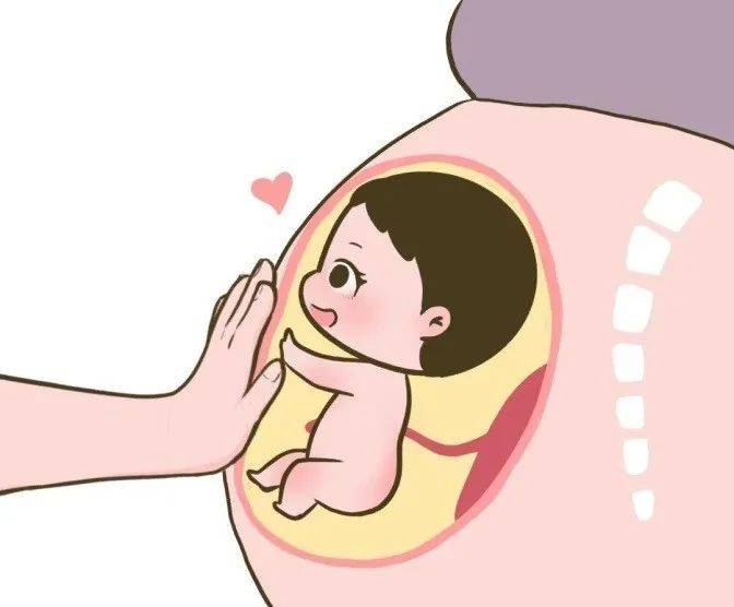 胎宝宝在孕妈的肚里需要待10个月左右的时间,随着孩子的