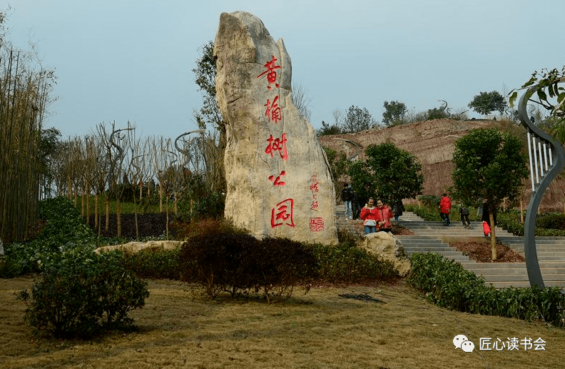 邻水黄桷树公园"夜晚x白天"两个版本 | 刘金(中国四川)_自然_广场