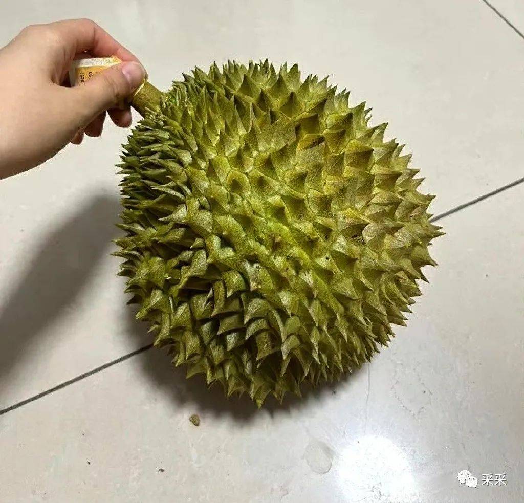 搞笑囧图_榴莲_答案_电影