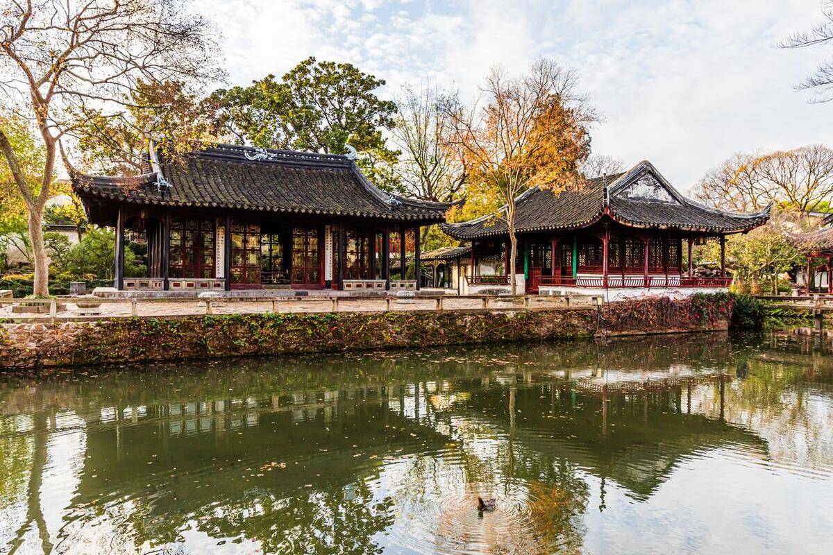 探秘拙政园:江南园林之美与文化之韵_建筑_水面_鸳鸯