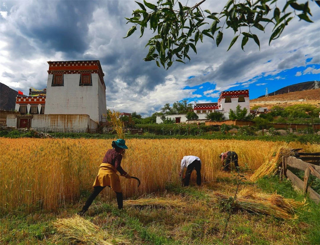 展览_四川省_新作