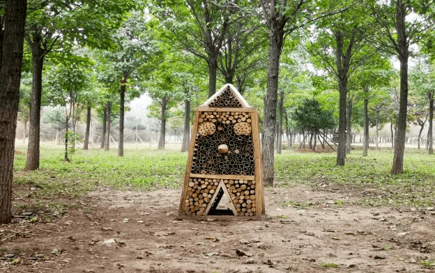 顺义区张镇"三抓手" 做足"林"文章!_发展_防火_保护