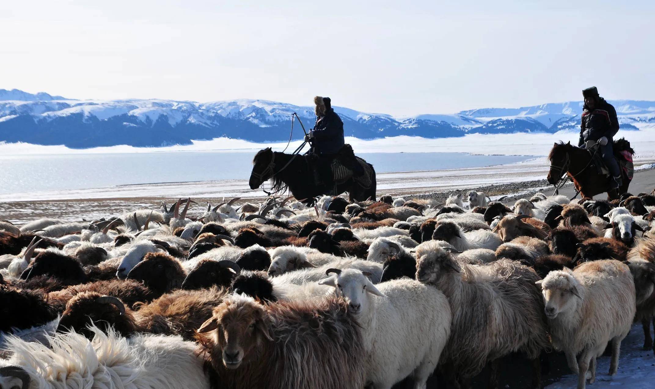 从游牧文明和农耕文明分析,我们为什么会被西方超越?_生活_国家_汗国