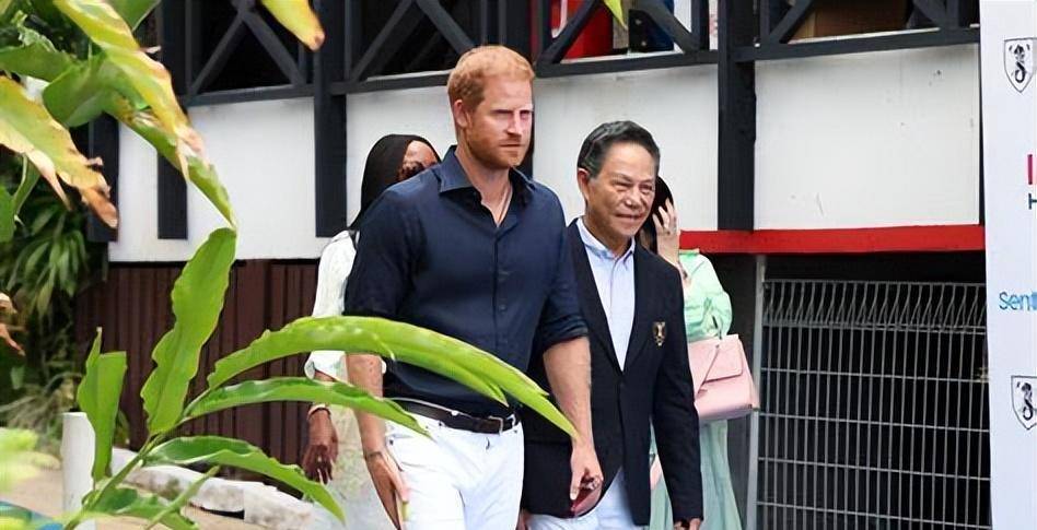 哈里王子重返马球赛场,他看起来"很有王室范儿"!