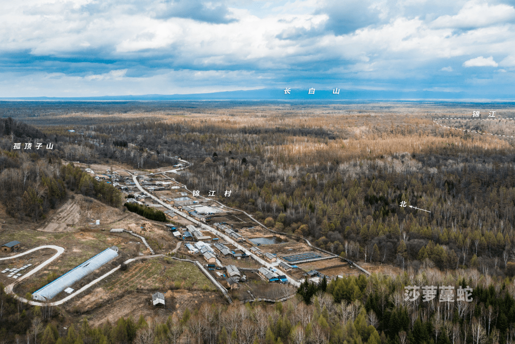 【最美天池南】 抚松县漫江镇:漫江碧透 百业争流_长白山_发展_村落