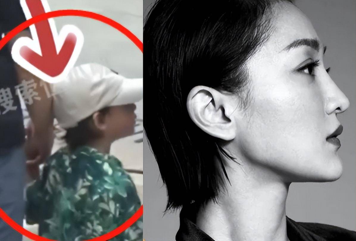 五官撞脸周迅,疑代孕张婧仪沦陷,本尊回应_孩子_生母_所有人