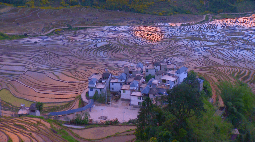 截图_云南_绿春县