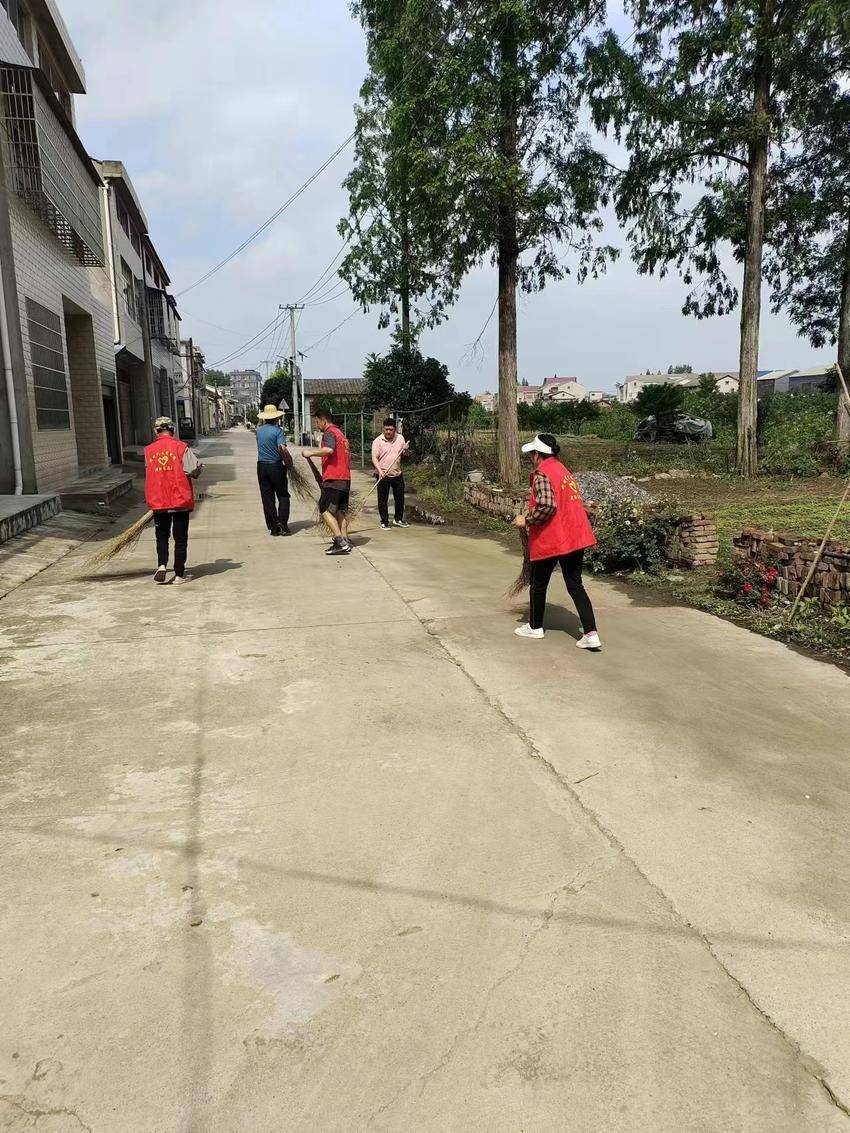 潜江市老新镇:全域发力,加快打造水乡园林秀美老新精致城镇