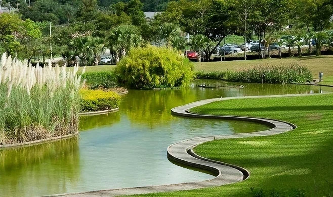 浅浅水,长悠悠——不可错过的校园景观水体设计_水景_空间_植物