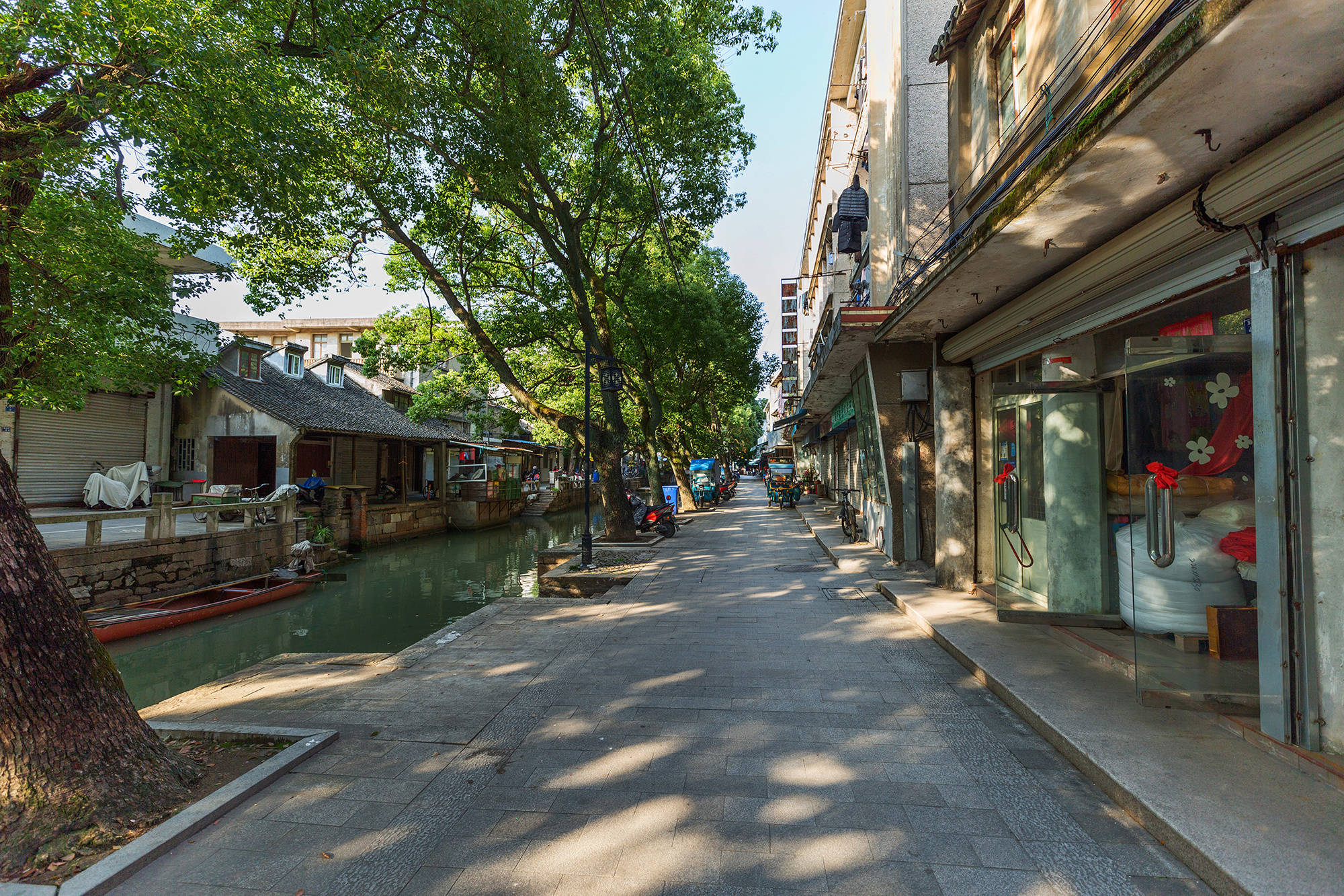 水韵汾湖:有田园诗歌,有诗意古镇,有梦里的江南_曲水_餐厅_上海