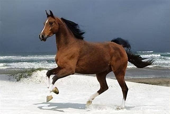 先有察举制,后有科举制,这些封侯拜相的人中,既有名门望族,也有贫寒