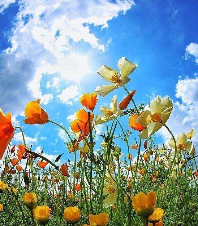 生活美好正能量的句子经典句子。