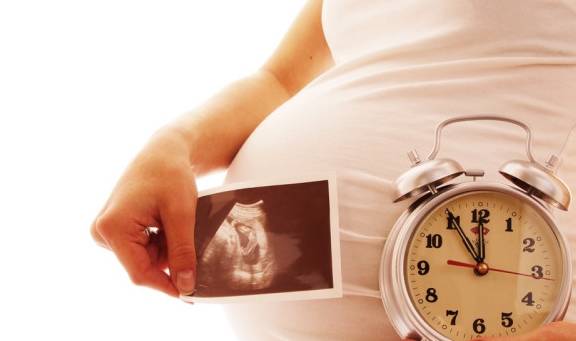 怀孕1到10个月胎儿图图片