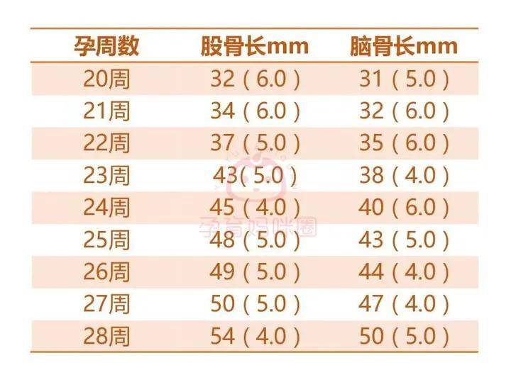 头围与孕周对照表 搜狐网