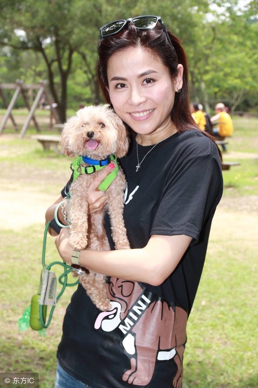 宣萱五段感情无疾而终,与古天乐有缘无份,50岁仍单身_张卫健_事业