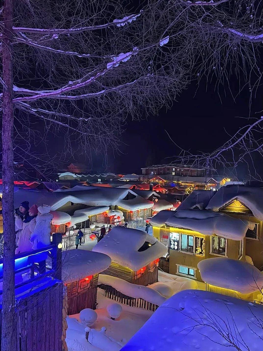 当狗熊岭照进现实,你知道它在哪么?_雪乡_东北_哈尔滨