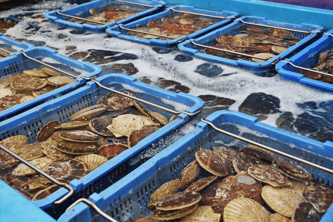 这5种日本海产品再便宜也别买,污染严重,别给家人吃