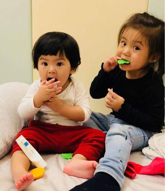 高圆圆40岁怀孕,贾静雯却结婚2次生了3个女儿,梧桐妹最大已14岁_工作