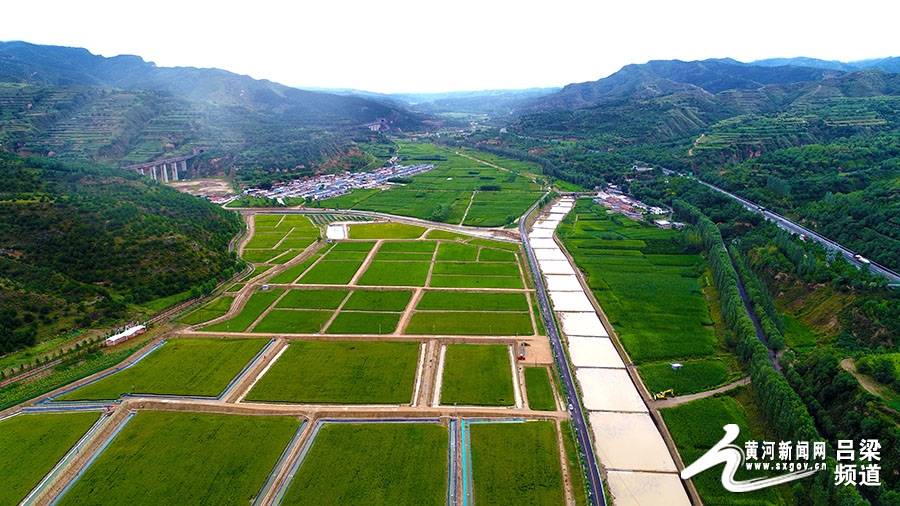 离石王营庄:打造稻田产业 助农增收_农业_示范区_建设