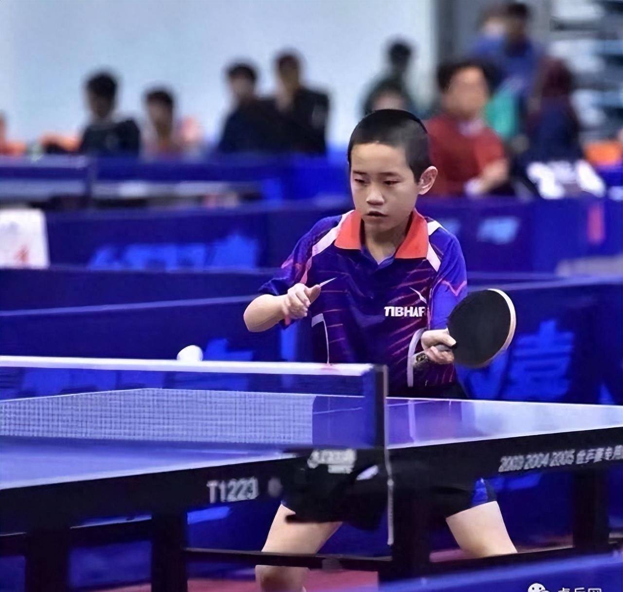 乒乓小将的成长密码_陈俊菘_教练_乒乓球