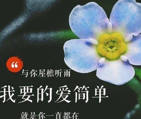 付出,爱要能包容对方缺点,心心相通的情是爱的相依_依恋_爱情_唯美