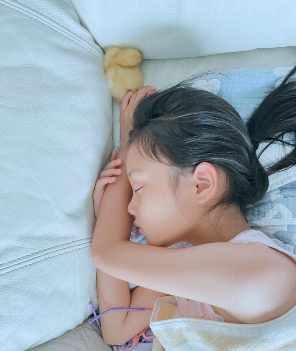 李小璐晒女儿近照,甜馨升级当鸭妈妈,和小鸭子形影不离超开心_双手
