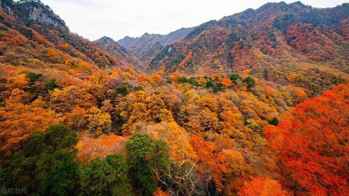 中国最美20个秋景,绝美赏秋圣地,看看哪一个你还未曾去过