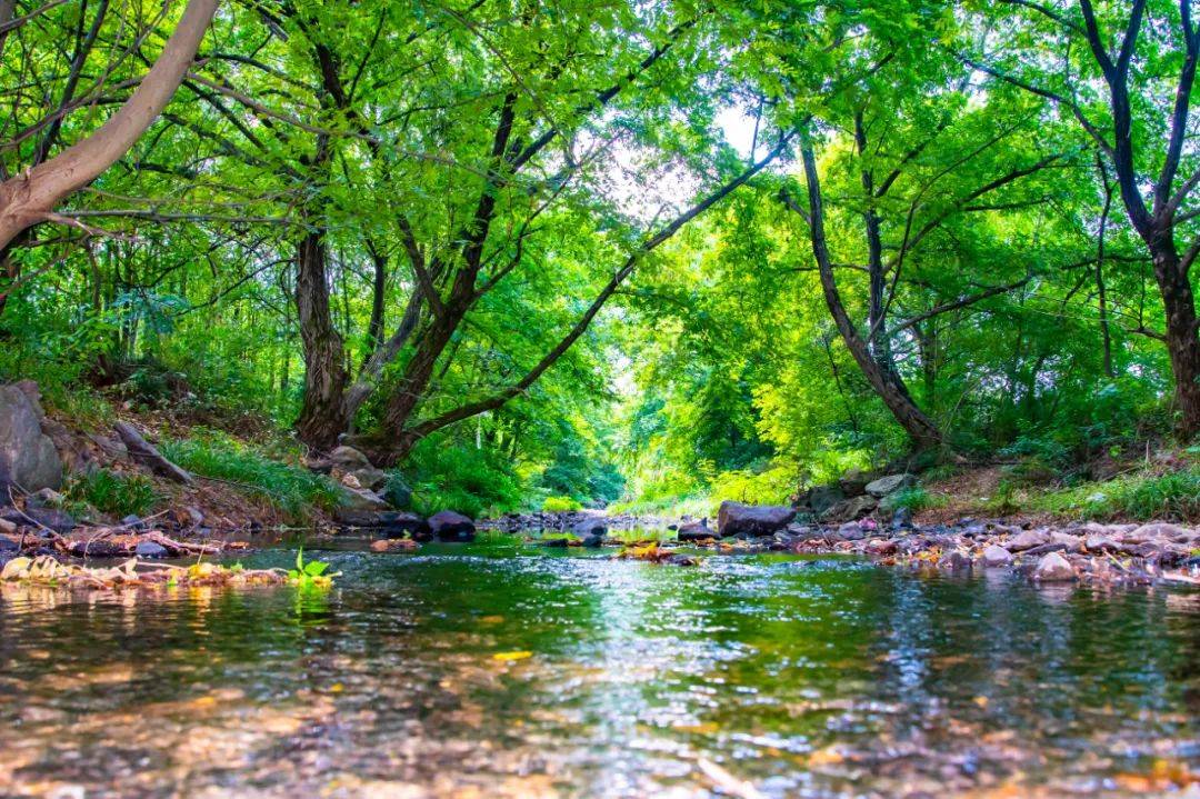 生态金东,光影记录_东孝街道_镜头_塘村