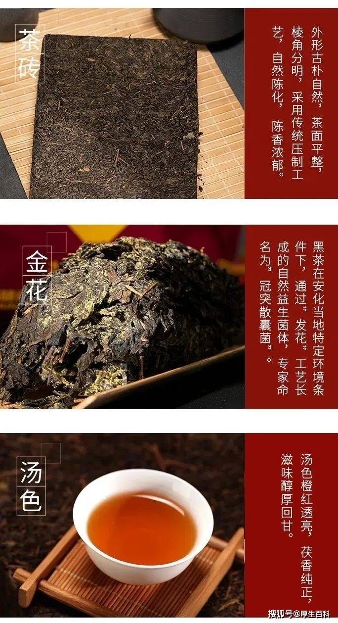 理想华莱:一杯黑茶茯砖茶,品秋高气爽_茶叶_滋味_茶人