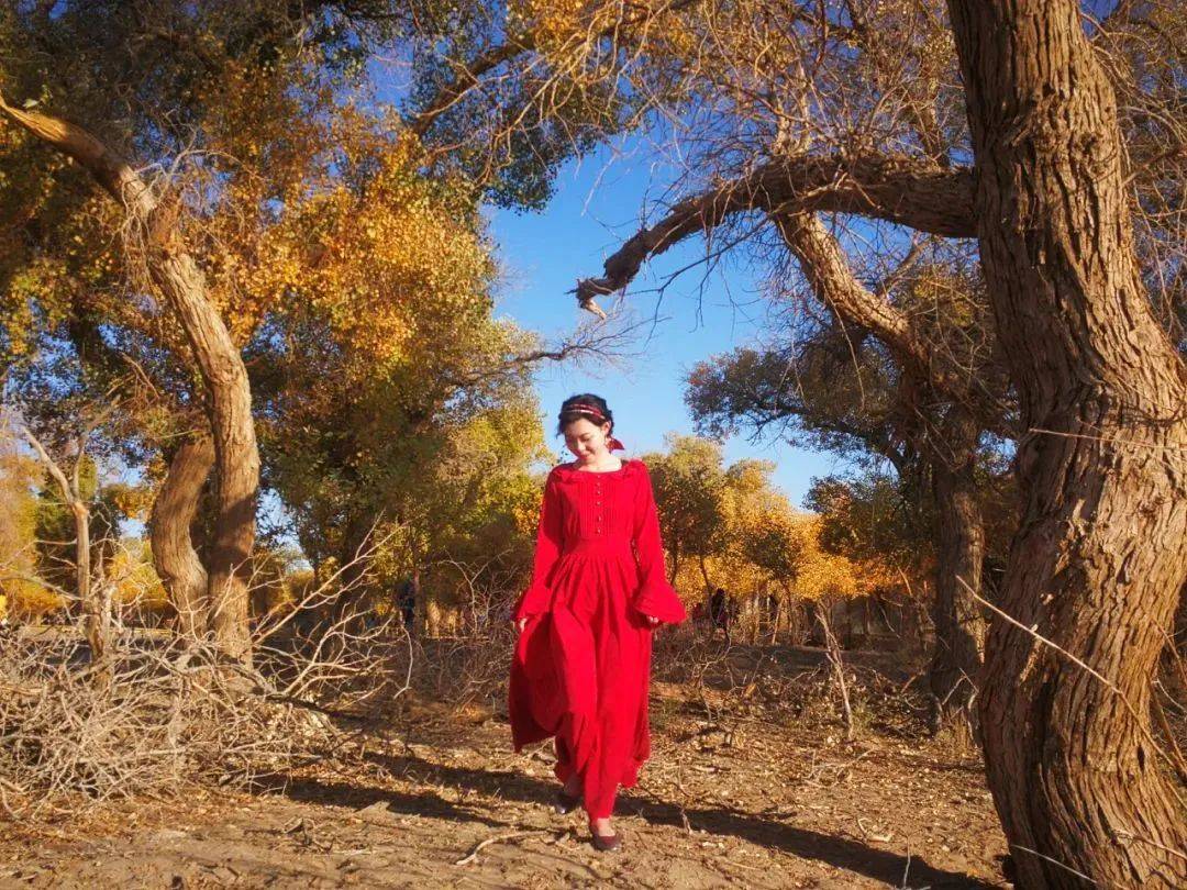 不是国外!秋天最美的胡杨林就在这了 2023遇见神奇宁夏 胡杨计划