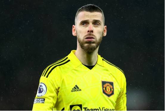 独立的德赫亚对新世界有吸引力吗?_训练_西班牙国家队_视频