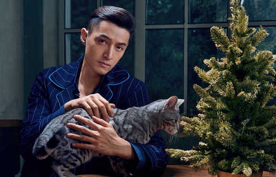 胡歌为何在豪宅养很多猫?