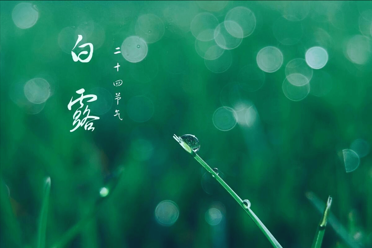 白露来得早，记得吃三宝”，3宝是啥？9月8日白露，别忘了吃_搜狐网