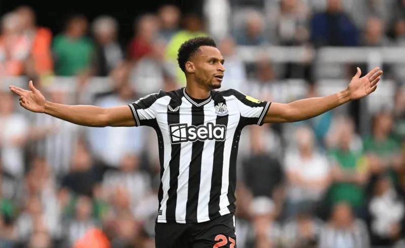 球员_霍尔_纽卡斯尔