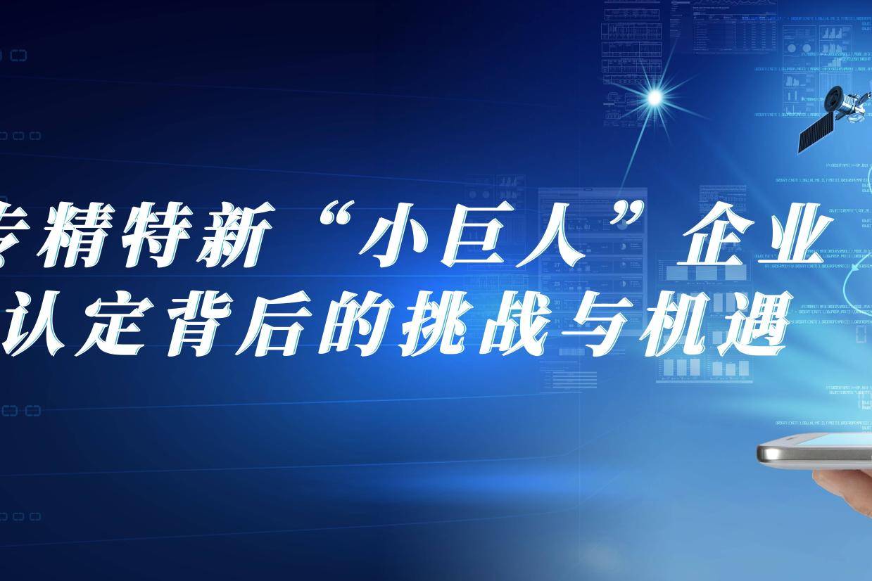 专精特新“小巨人”企业认定背后的挑战与机遇_手机搜狐网