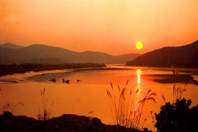 秋水_元代_大雁