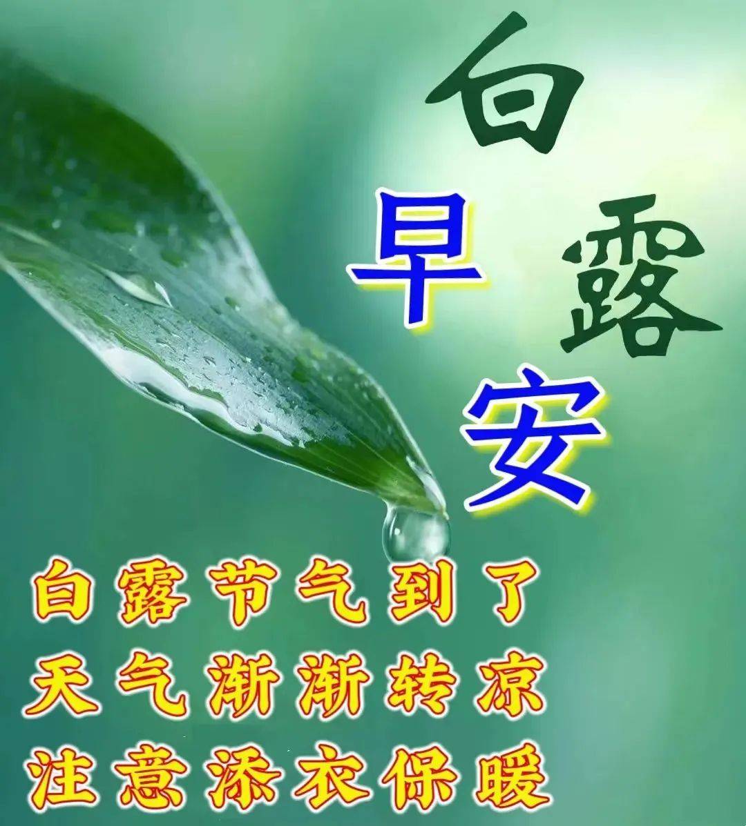 9月8日白露节气早上好,群发白露早安祝福温馨表情包图片带字精选问候